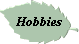 Hobbies