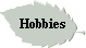 Hobbies